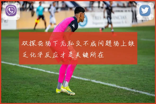 双探花场下无私交不成问题场上缺乏化学反应才是关键所在
